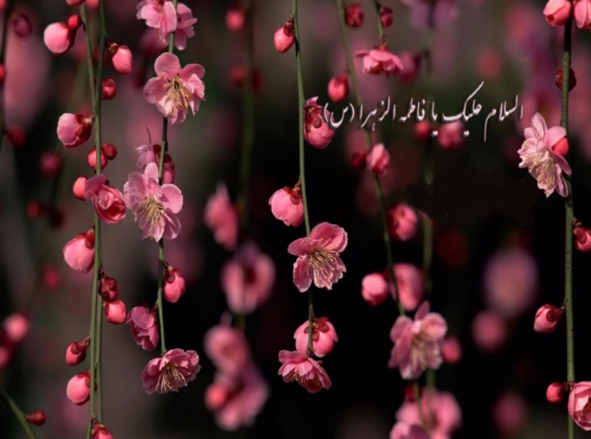 مروری اجمالی بر زندگی حضرت فاطمه (س)