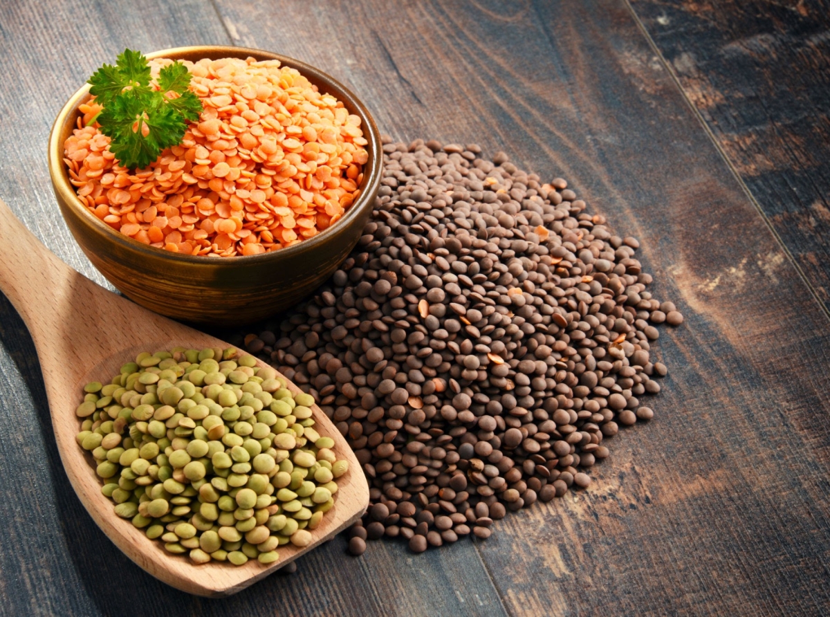 اسوه ,موسسه فرهنگی قرآن و عترت اسوه تهران,