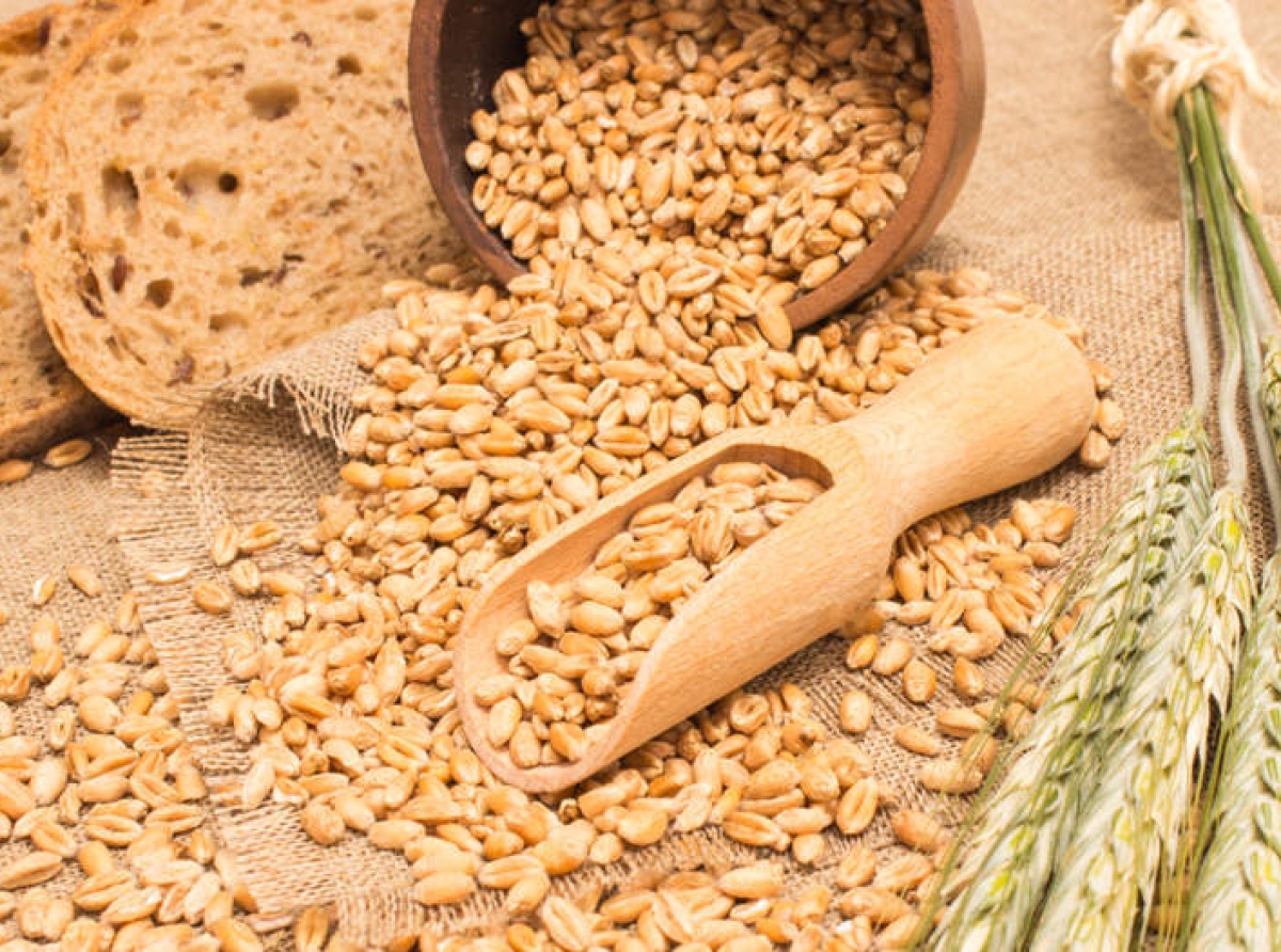 اسوه ,موسسه فرهنگی قرآن و عترت اسوه تهران,