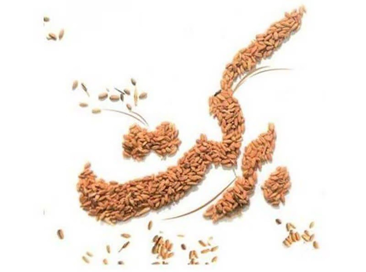 اسوه ,موسسه فرهنگی قرآن و عترت اسوه تهران
