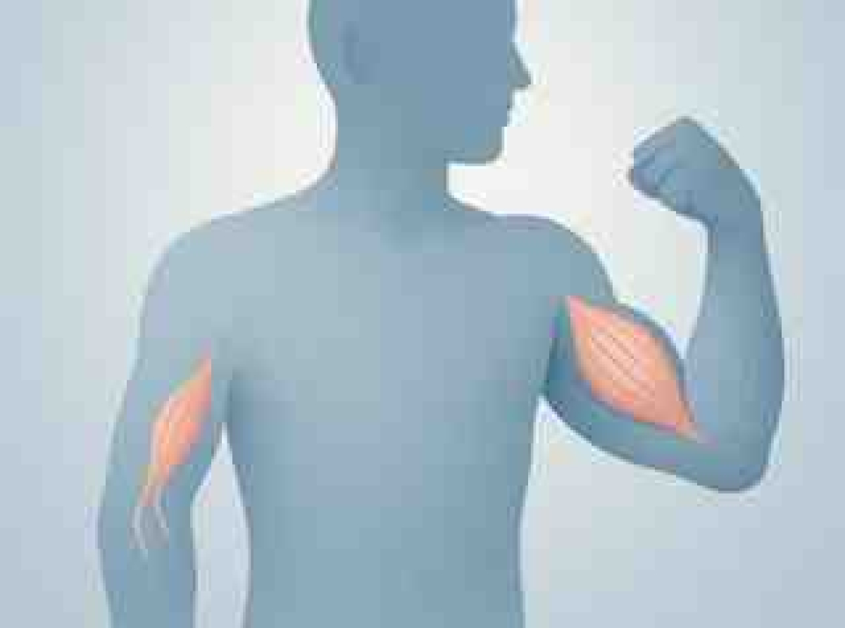 اسوه ,موسسه فرهنگی قرآن و عترت اسوه تهران